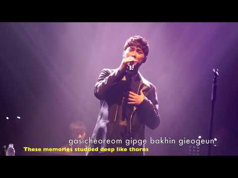 161202 BUZZ - THORN (가시) LIVE PERFORMANCE [LYRIC-ENGSUB]