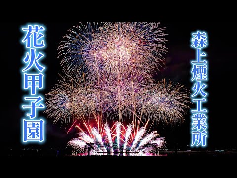 【花火甲子園2024】森上煙火工業所　5号10号創作花火　余興花火　｜ホムンクルス｜