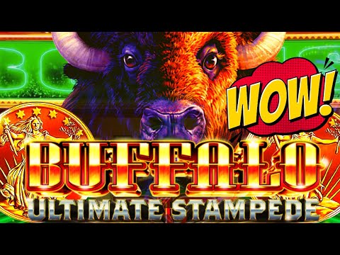 ★BIG WIN!★ IT CAN BONUS AT ANYTIME! BUFFALO ULTIMATE STAMPEDE 🦬 Slot Machine (ARISTOCRAT GAMING)