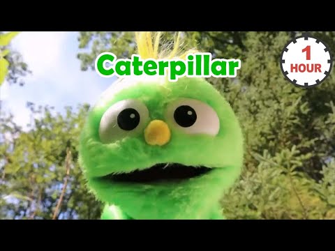 [ 1 HOUR LOOP ] Ms Rachel - Caterpillar 1 hour Repeat | Songs for Littles | Toddler Learning Videos