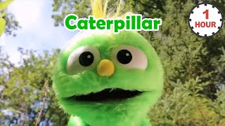 [ 1 HOUR LOOP ] Ms Rachel - Caterpillar 1 hour Repeat | Songs for Littles | Toddler Learning Videos