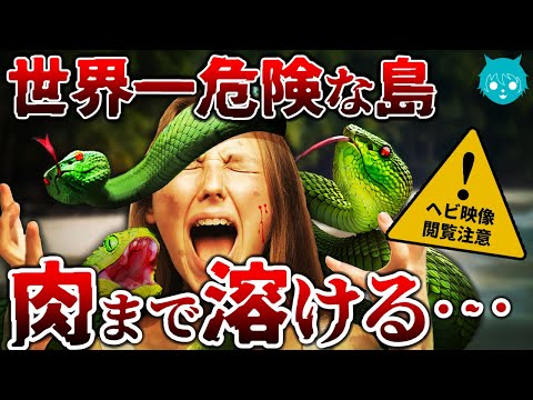 【異常】毒蛇だらけの無人島“ケイマーダ・グランデ島”が世界一危険な理由