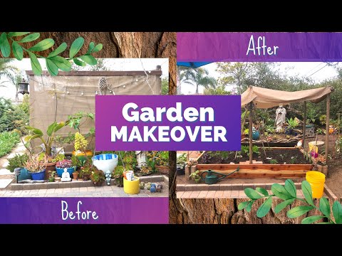 Small Garden Makeover + building a garden box