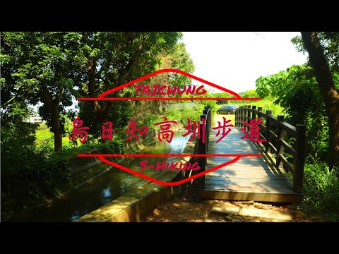 S步道｜台中｜知高圳步道｜自然人文水道｜烏日區