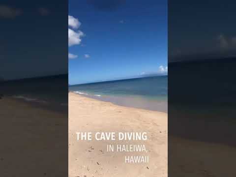 【ハワイ洞窟ダイビング】The Cave Diving in Haleiwa, Hawaii #Shorts