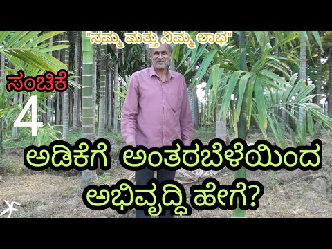 ಅಡಿಕೆಗೆ  ಅಂತರಬೆಳೆಯಿಂದ  ಅಭಿವೃದ್ಧಿ ಹೇಗೆ? || ಸಂಚಿಕೆ 4||  Intercropping in arecanut || Episode 4 ||