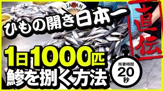 【アジの捌き方】ひもの開き日本一大会優勝者が教える鯵の開き方 釣りで釣れた鯵を美味しく食べよう。初心者必見