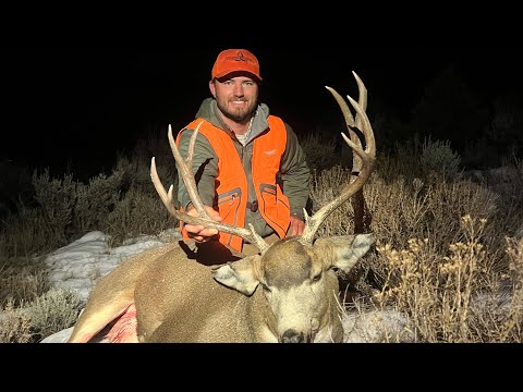 MULE DEER Hunting With A Traditional Bow (Catch Clean Cook) This Didn’t Go As Planned