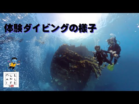 【#体験ダイビング 】バリ島でダイビング体験。#バリ島 #マリンスポーツ