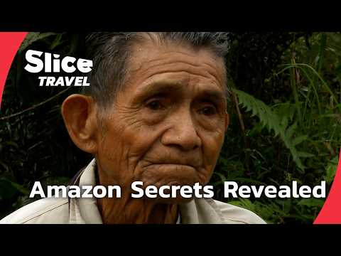 Exploring Peru: Yanesha Wisdom and Amazon Wildlife | SLICE TRAVEL