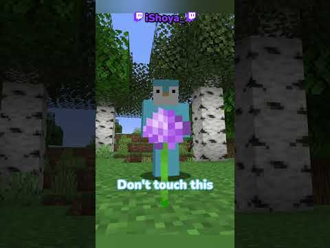 Minecraft, But I Can't Touch The Color Purple