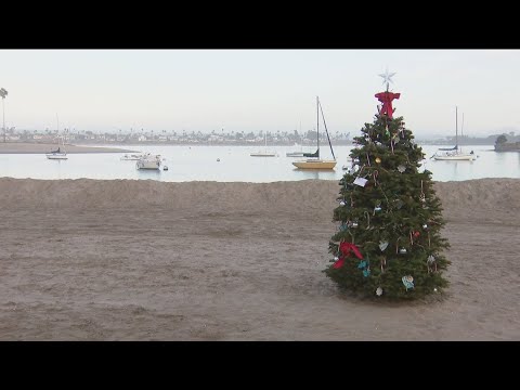 A Christmas tree on the beach bringing community together