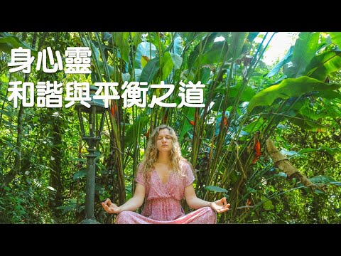 身心靈的和諧與平衡之道｜《財富印記》｜關係聊天室