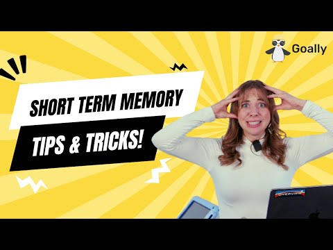 Short Term Memory Examples 🧠 | How It Affects Your Child