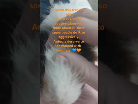 #stopanimalabuse 💙🧡