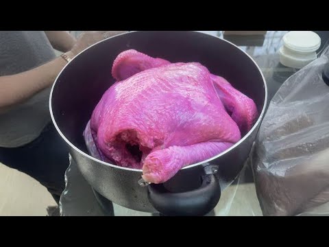 r/AITA The World's Most Disgusting Thanksgiving Dinner