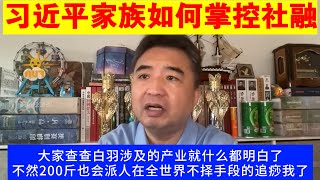 翟山鹰：习近平家族的寡头经济是如何控制社融资金的丨白羽的产业丨习远平丨中共高官敛财