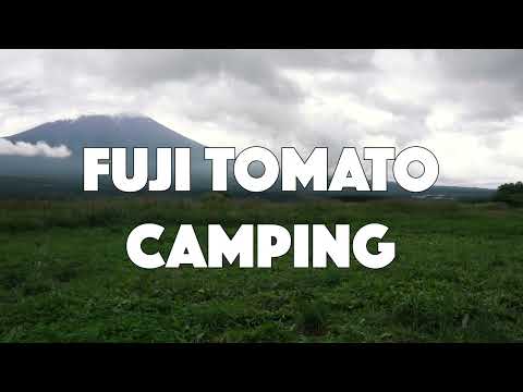 Fuji Tomato Field