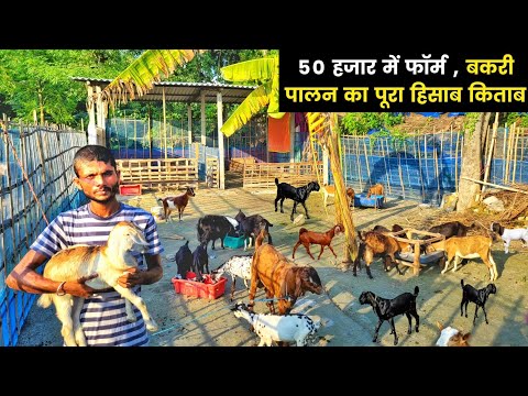 कम पूंजी में बकरी पालन कैसे शुरू करें | Bakri palan ka tarika | Goat farm shed design