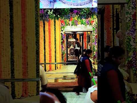 Jay Sri Mahakal | Mahakal live Aarti| Mahakal bhasm aarti #video #mahakal #shorts #ujjain