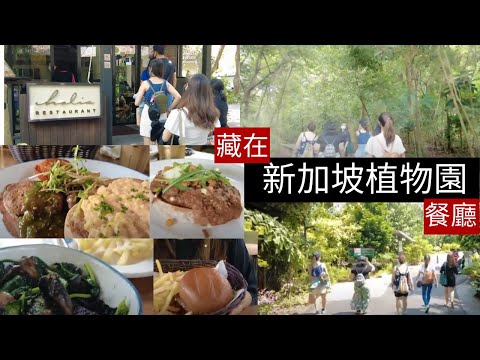 凯西 Vlog 35: 走訪新加坡植物園 (Botanic Gardens)，隨意拍出森林冒險感和藝術大片感 ！第一次在森林裡用餐？同事配合度極高！