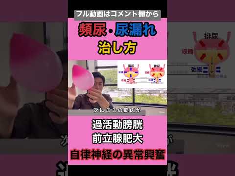 過活動膀胱の治し方前立腺肥大の治し方切り抜き　#shorts #過活動膀胱#前立腺肥大#頻尿#京都市#左京区