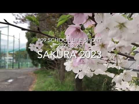 【桐蔭学園中等教育学校】#09 SAKURA 2023 SCHOOL LIFE SHORT