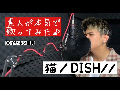 【歌ってみた】猫　DISH//　カバー