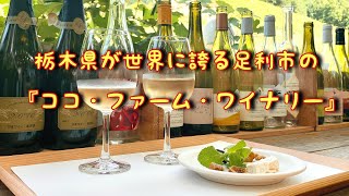 【足利市】🍷お気に入りのワインがきっと見つかる⁉️ココファームワイナリーで気楽にテイスティング🍇