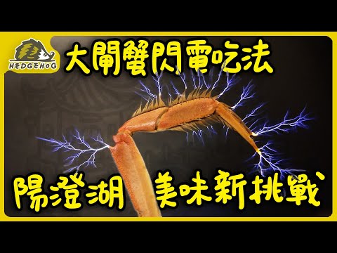 [Hedgehog Gang Lens Diary] Authentic Yangcheng Lake Hairy Crabs vs. Tesla Coils