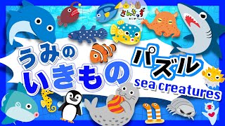 【子供向け 水族館アニメ】海の生き物パズルに挑戦！サメ イルカ ペンギンなど17種類のいきものとおさかなさんが登場するよ【海の生き物 知育動画】Sea Animal Puzzle for Kids