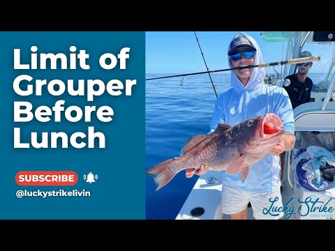 Light Tackle Limit of Grouper Before Lunch!! LUCKY STRIKE FISHING CHARTER GROUPER FISHING NAPLES FL