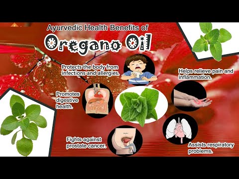 5 Health Benefits of Oregano | Immune System, Antibacterial Activity, Digestive, Heart, Detoxify...