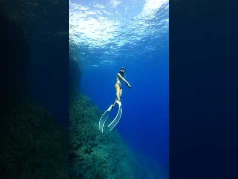 I encountered a shark🦈 #shark #mermaid #snorkeling #freediving #サメ #シュノーケリング #素潜り