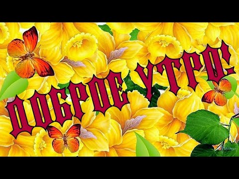 Доброе утро!Бодрого Доброго Утра!Желаю теплого, светлого, лёгкого, бодрого и солнечного  дня.Друзьям