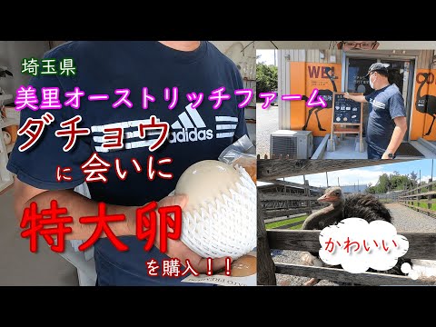 ダチョウ牧場　美里オーストリッチファームさんに味付け燻製卵を仕入れるため出かけました。