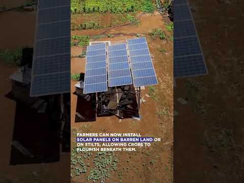 AGRIVOTAICS - The Solution to Agriculture and Solar Revolution of India | Goldi Solar