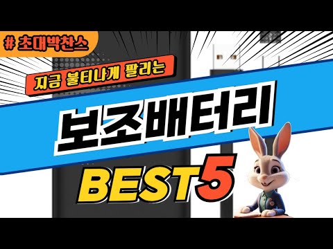 2025 초대박 찬스 보조배터리 추천 대박 가성비 베스트5! 후기 비교