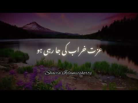 Mere Nabi Kareem 'ﷺ' Ne Farmaya 🥀 | Islamic WhatsApp Status |