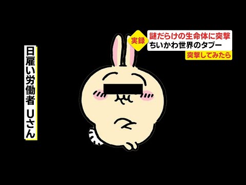 【ちいかわ】謎だらけの生命体に突撃！テレビ史上初の密着取材に成功か？