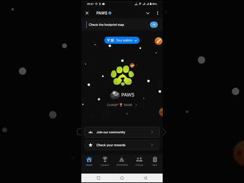 Paws 0 points solution | paws airdrop new task complete