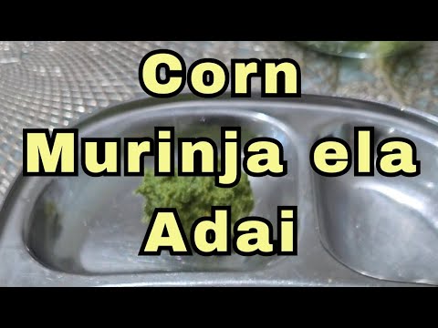 Corn Moringa Adai | Healthy weightloss recipe | Healthy breakfast recipe