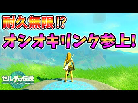 武器耐久無限のオシオキリンクさんが爆誕！？(ver1.0.0)【ティアキン TotK】裏技 バグ 検証 ゆっくり実況 glitch