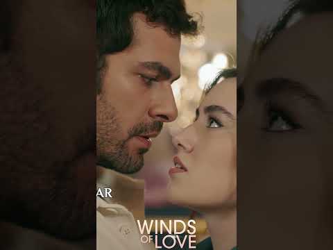 O defterin içindekiler neden önemli? | #windsoflove #shorts #ruzgarlitepe