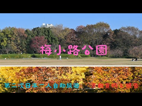 京都的梅小路公園，也可以賞紅葉和銀杏, 記得打開CC字幕喔！