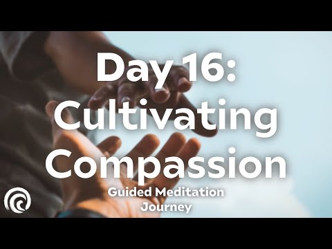 Day 16: Embrace Kindness | 30-Day Meditation Series for Compassion & Empathy