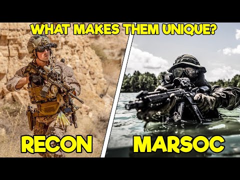 WHAT MAKES MARINE RECON AND MARINE RAIDERS DIFFERENT? (3 KEY AREAS EXPLAINED)