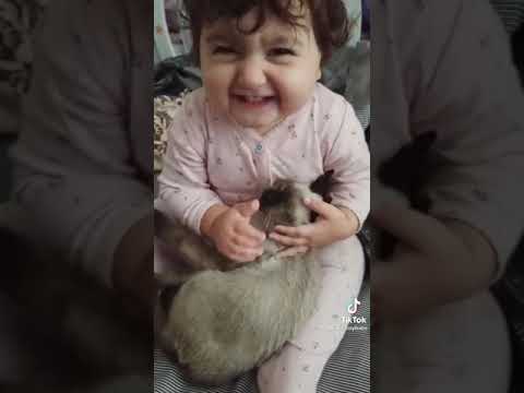 #Cute #baby videos 😘🥰 so cute baby