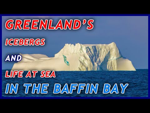 Greenland's icebergs and life at sea in Baffin Bay: Day 17 of the 2021 Northwest Passage Expedition