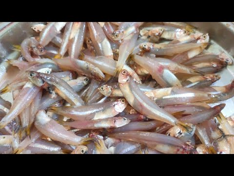 చిన్న చేపలు తో పులుసు సులభంగా ఇలా చేస్కోండి | Small Fish Curry | Easy Fish Pulusu